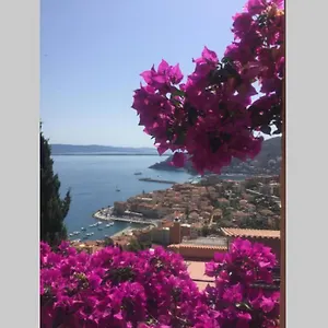 Panoramico: Ulivi E Sole Appartamento